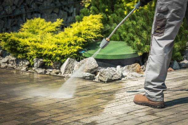 Animal Enclosure Cleaning in Basile, LA