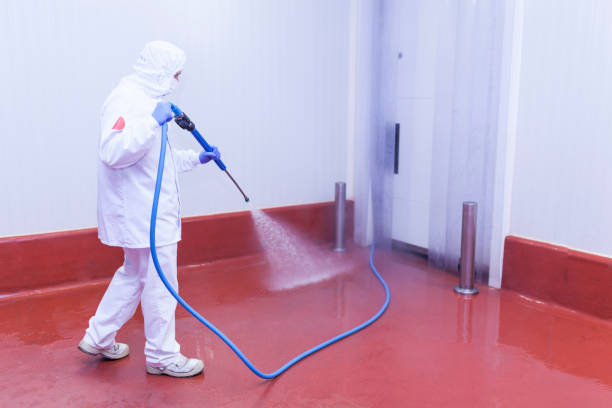 Best Boat and Dock Cleaning  in Basile, LA
