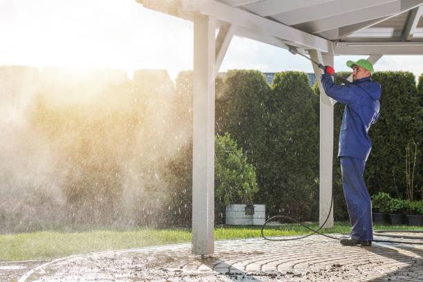 Best Gutter Cleaning  in Basile, LA