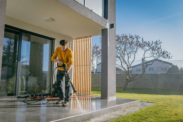 Professional  Pressure Washing Services in Basile, LA