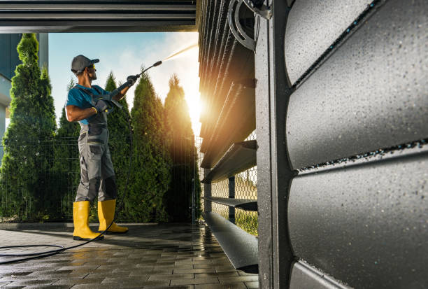 Best Animal Enclosure Cleaning  in Basile, LA
