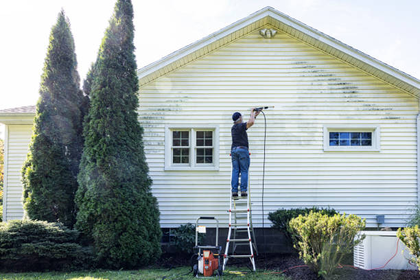 Spring Cleaning in Basile, LA